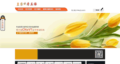 Desktop Screenshot of dutchinchina.com